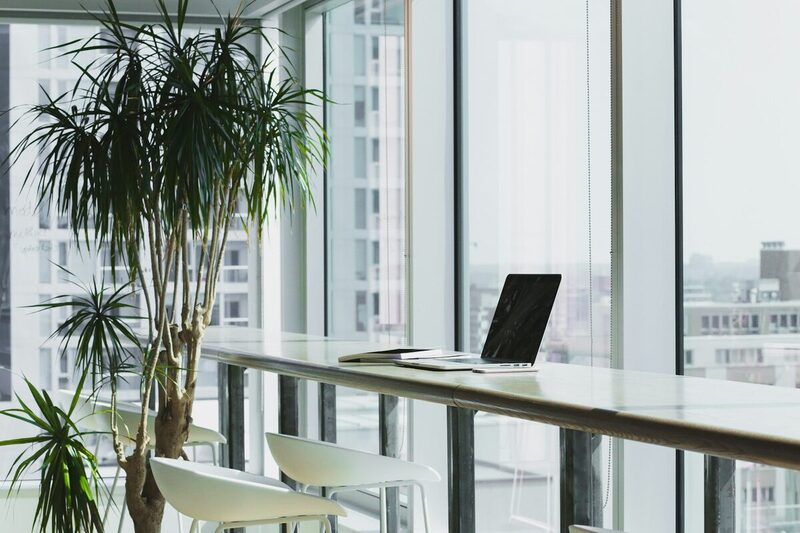 A bright Coral Gables office where the Orange Blossom Social team meets clients